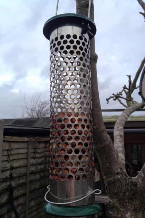 Bird Feeder Test The Verdict Life And Style The Guardian