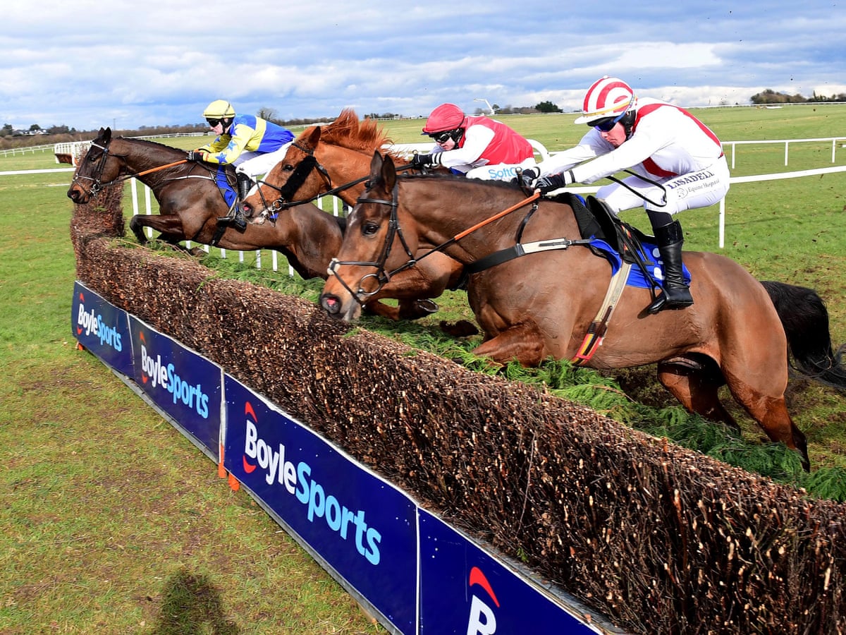 Free live horse racing streaming Free live horse racing streaming