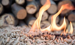 Wood burning for power may lead to a 6% rise in carbon emissions rather than a reduction of 6% with solar or wind power.