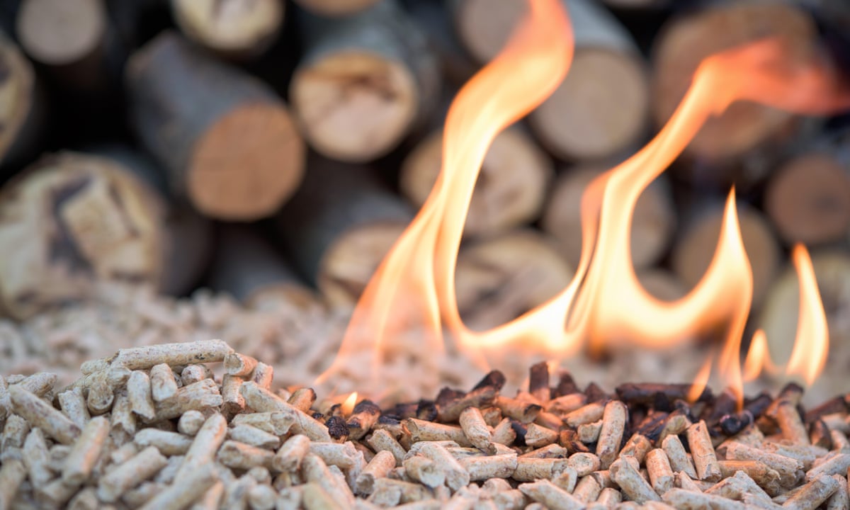 The Dirty Little Secret Behind Clean Energy Wood Pellets Biomass And Bioenergy The Guardian