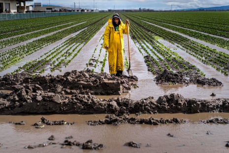 A worker wears yellow rain gear and leans on a shovel in a flooded field.