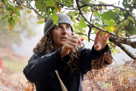 A woman touching the branch of an oak tree.
