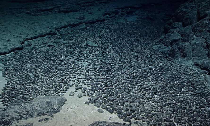 A field of manganese nodules in the deep waters next to Hawaii.