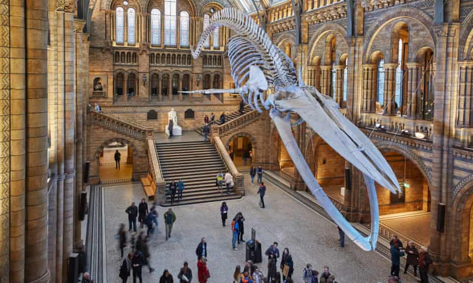 Natural History Museum’s ‘Dawnosaurs’ sessions for children with autism has been applauded. 