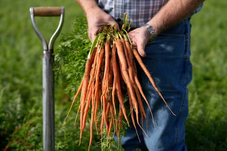 Jeff Huckaby, president and CEO of Grimmway, holds a freshly picked bundle of carrots in New Cuyama.