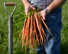 Nutrient Decline in Crops Linked to Soil Health