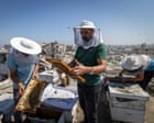 From 400 hives to 35: the Gaza beekeeper refusing to let war end his life’s work