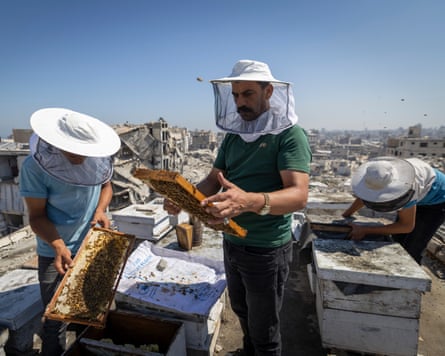 Ibrahim Naji Al-Dabba and two other people wearing beekeeper hats holding hive racks