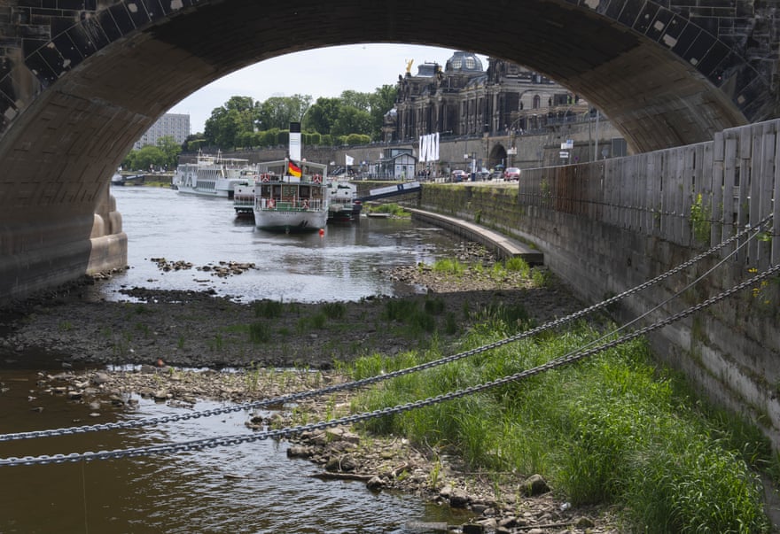 The bank of the Elbe is dried out after a long time of drought in Dresden, eastern Germany.