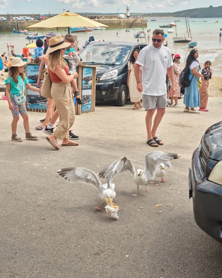 Holidaymakers and gulls on the seafront in St Ives, Cornwall, UK, July 2024