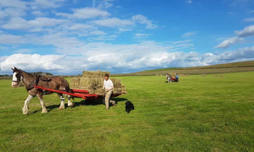 Sillywrea Farm, powered by horses.