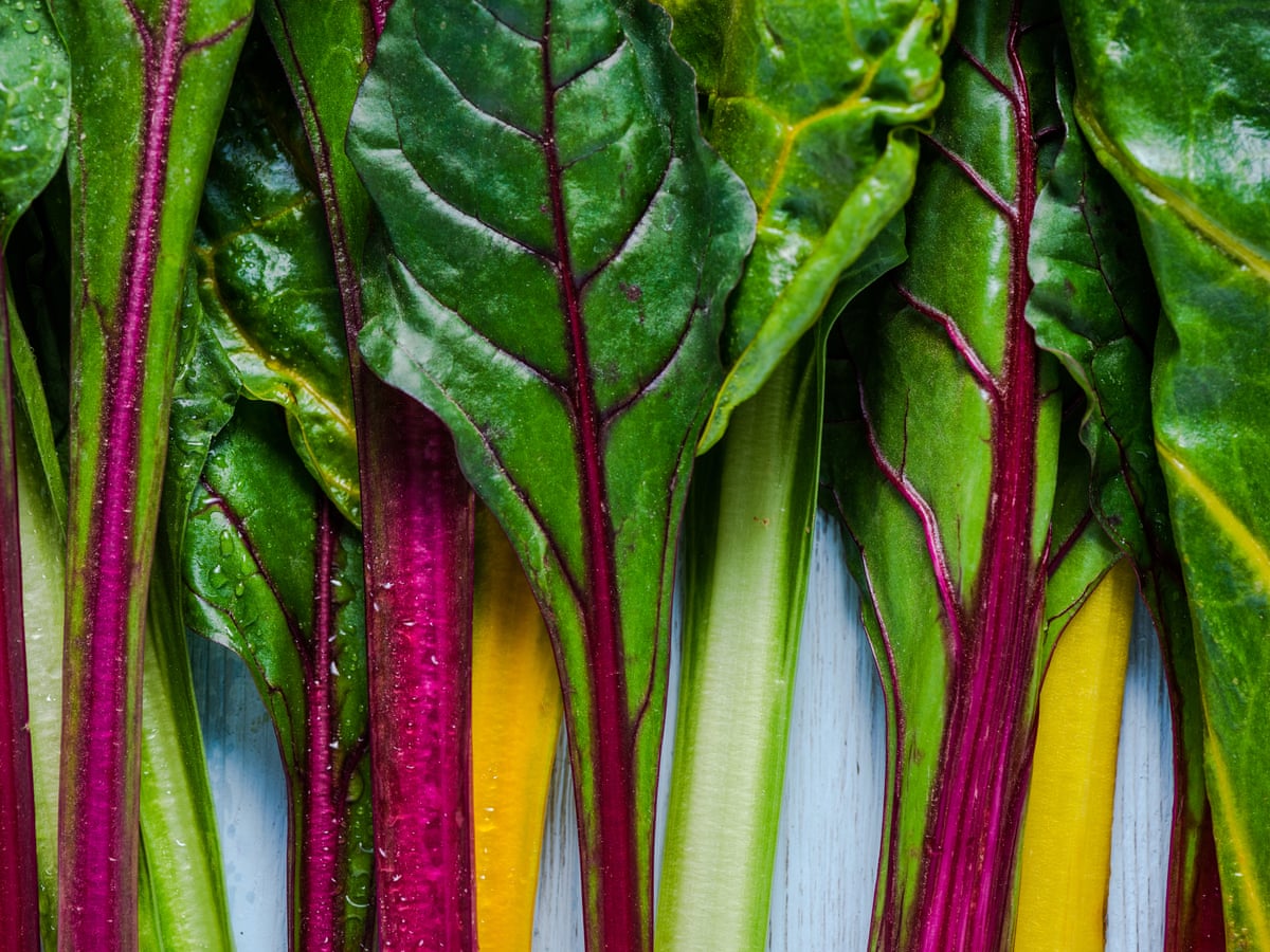 It S Not Too Late To Plant Swiss Chard Life And Style The Guardian