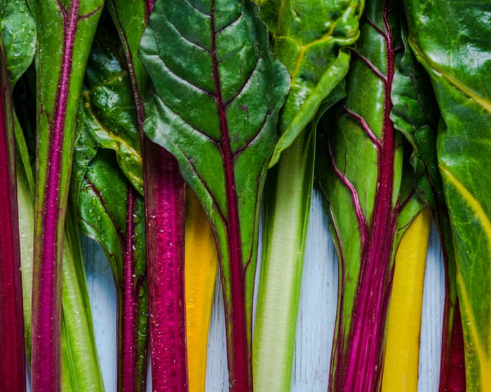 I’m an avid fan of chard – but you can have too much of a good thing | Adrian Chiles