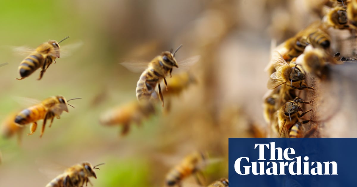 Early Bee Swarm Season Requires Adaptive Strategies, Highlights Importance of Responsible Stewardship