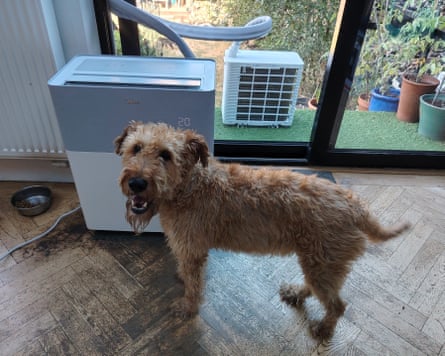 Midea aircon with Rocky the dog.
