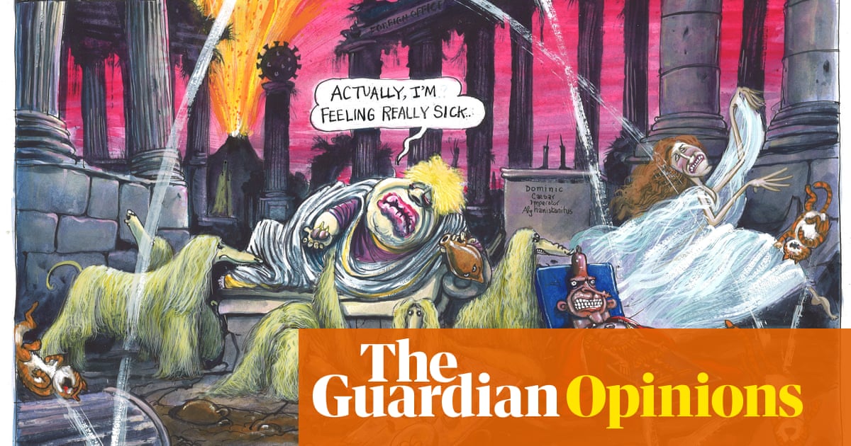 Martin Rowson on questions about the PM’s role in the pet airlift from Kabul – cartoon