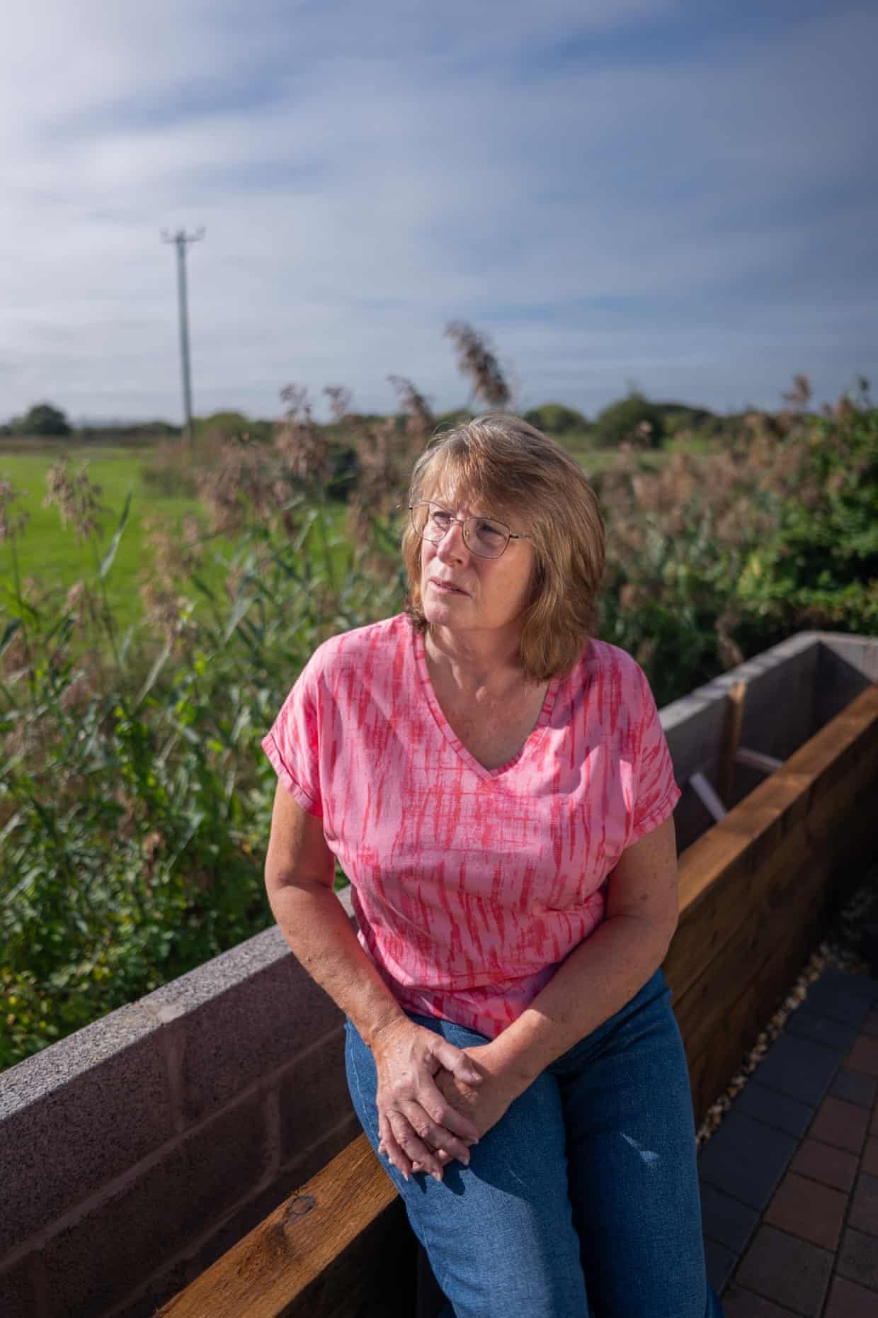 Sue Gardiner looks out at the land earmarked for development.