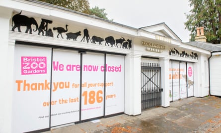 Вход в Бристольский зоопарк с табличками о том, что он закрыт.