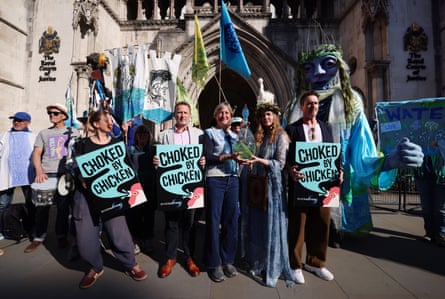 Environmental campaigners outside the high court in London holding signs