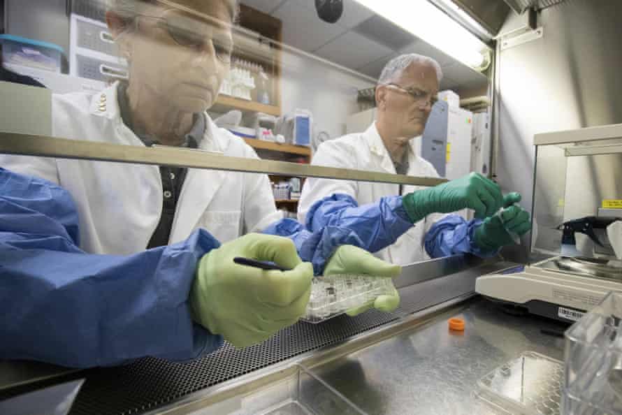 A man and woman wearing white lab coats and gloves work with samples from behind a glass partition.