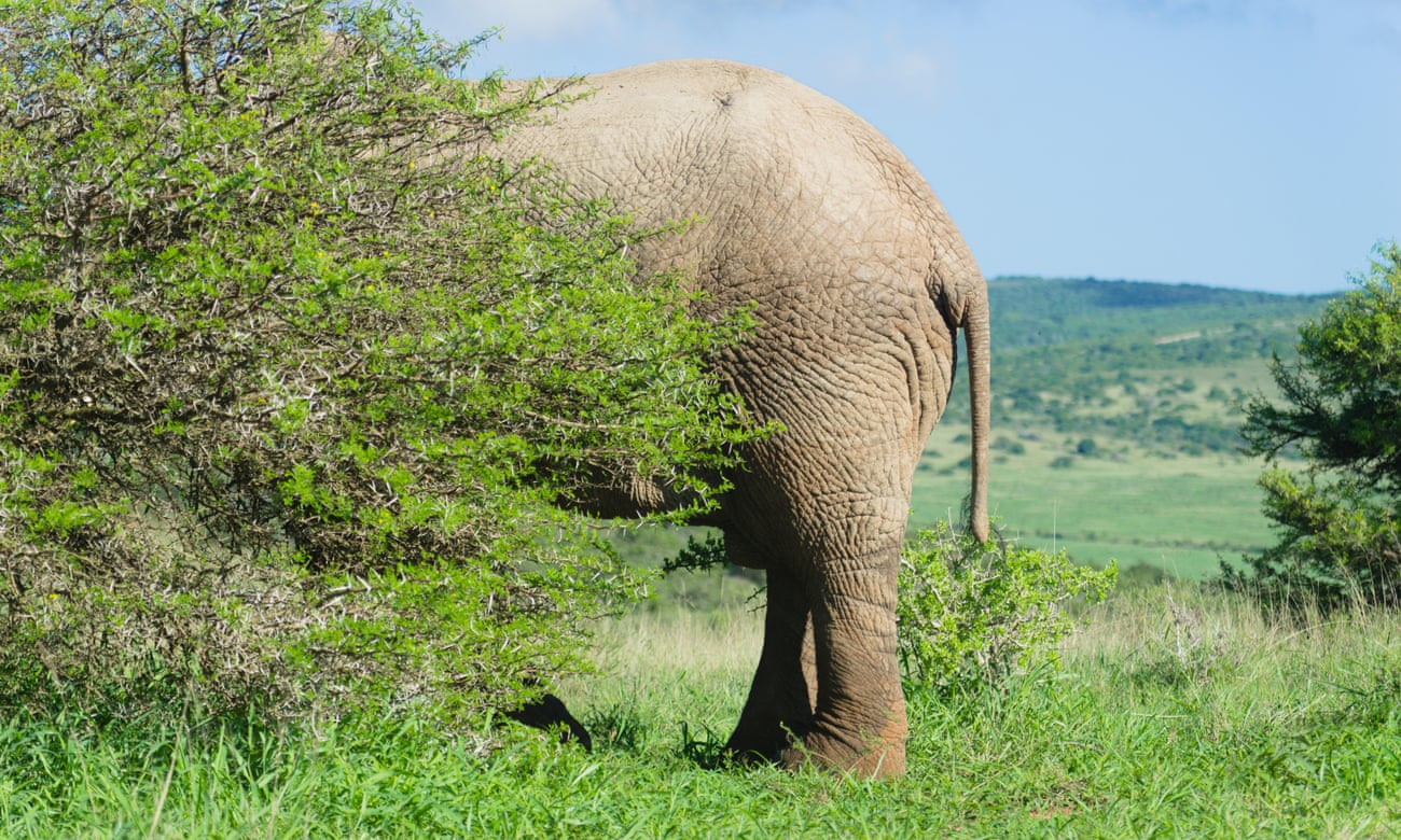 News 14.06.21 : Today’s Articles of Interest from Around the Internets