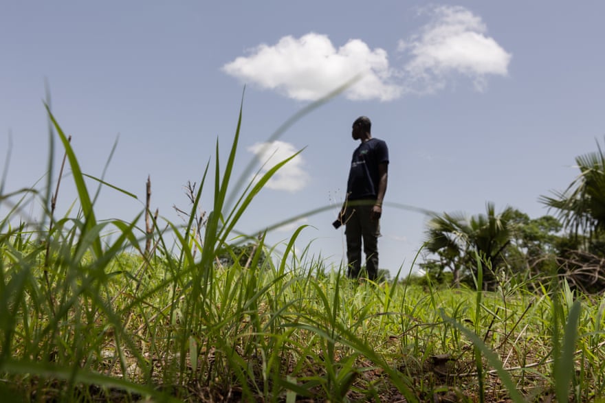 A farmer silhouetted against the sky in afield of a grass-like crop