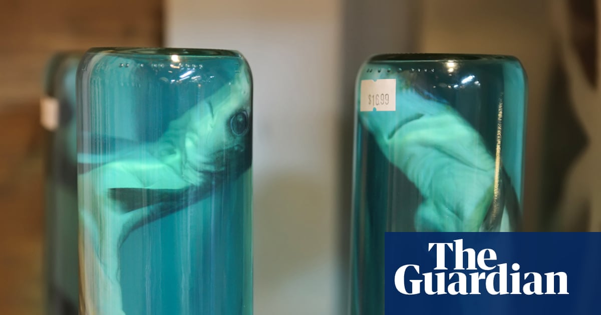 Trump’s EPA wants to weaken formaldehyde protections – this is what it could mean