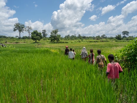 Bokwaya Angel Naonou and her six grandchildren walk through the fields near their Ivory Coast village.