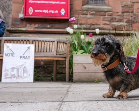 A dog is seen outside a polling station on 7 May in Edinburgh, Scotland.
