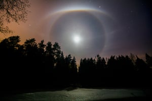 Lunar halo over silhouetted forest