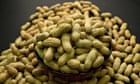Peanut allergy in babies