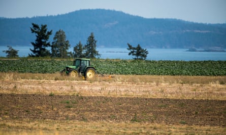 A tractor mows dried-out crops and plant growth on a farm during a drought in Saanich, BC.