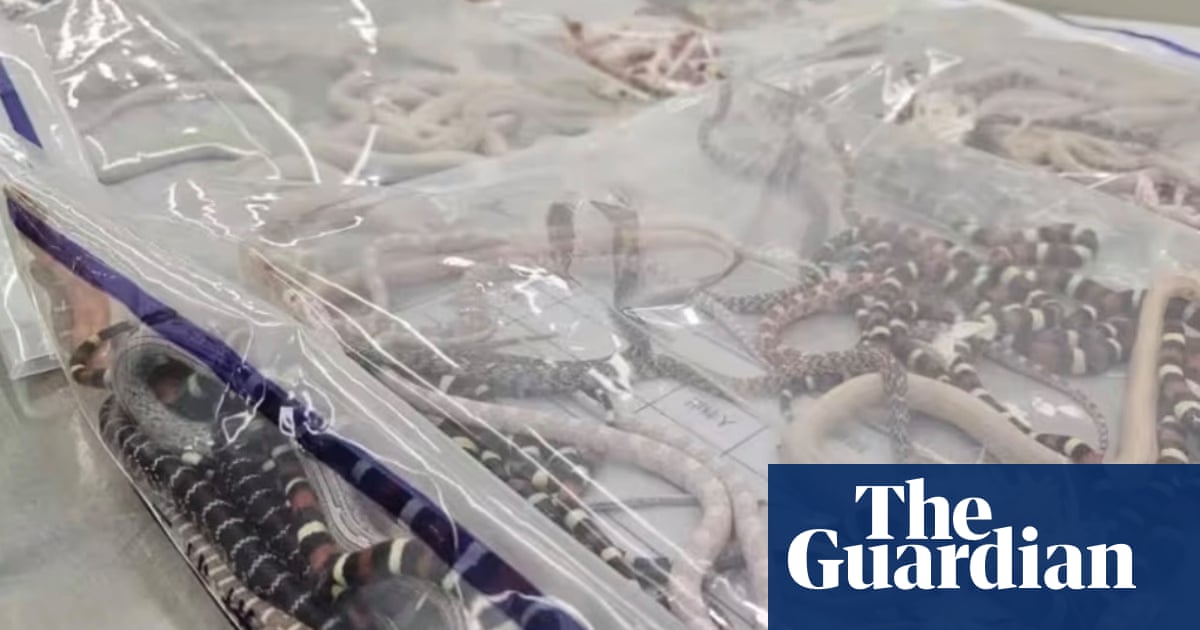 www.theguardian.com