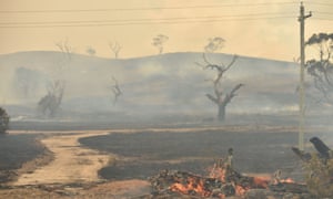 The remains of a bushfire near the town of Bumbalong, south of Canberra.