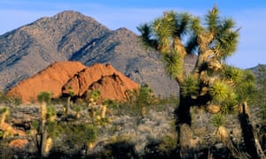 Gold Butte National Monument outside Las Vegas would protect a scenic and ecologically fragile area near where rancher Cliven Bundy led an armed standoff against government agents in 2014.