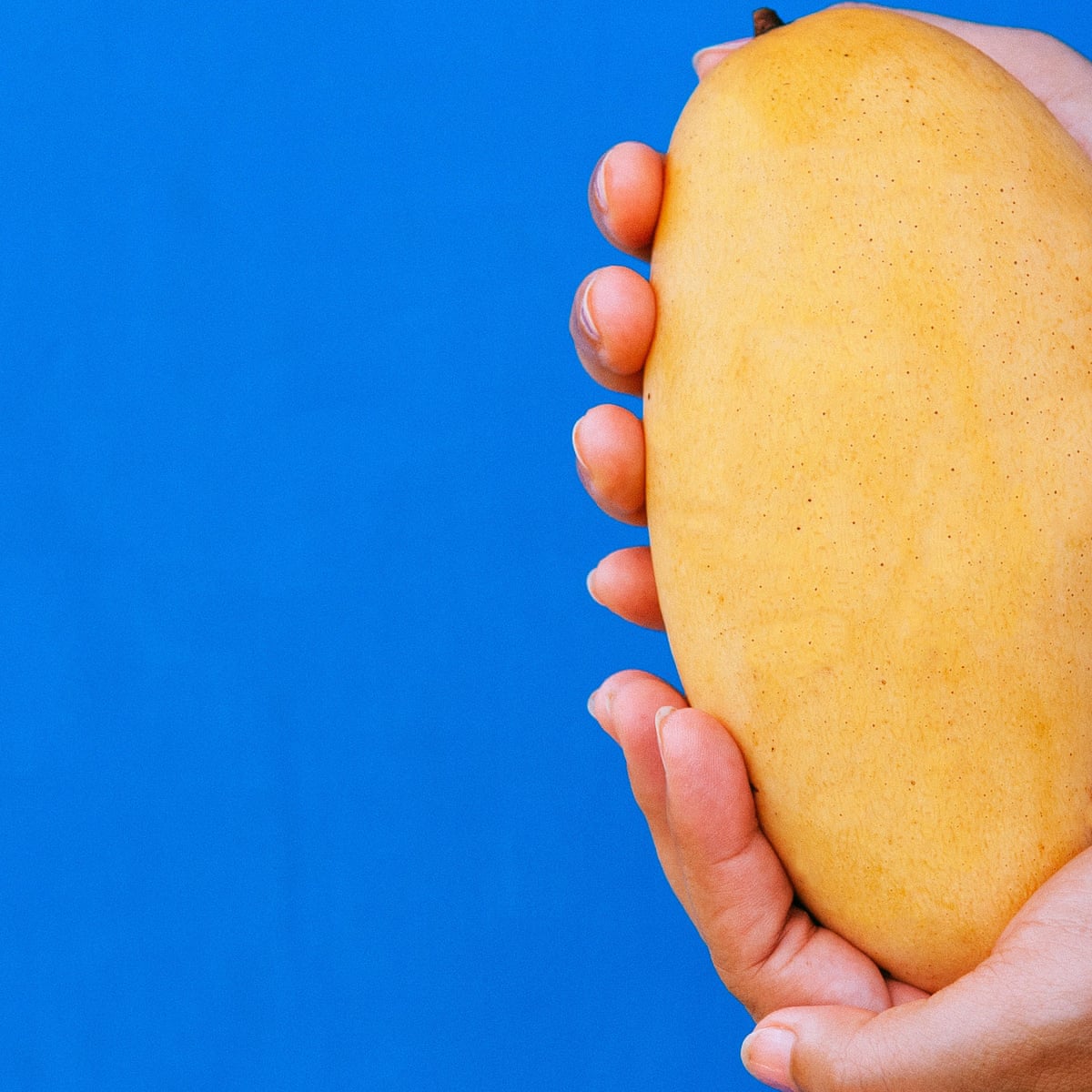 Ripe For Change Growing Your Own Food Means Always Picking