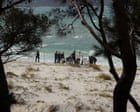 Police call off separate searches for missing teen boy and another man off two Sydney beaches