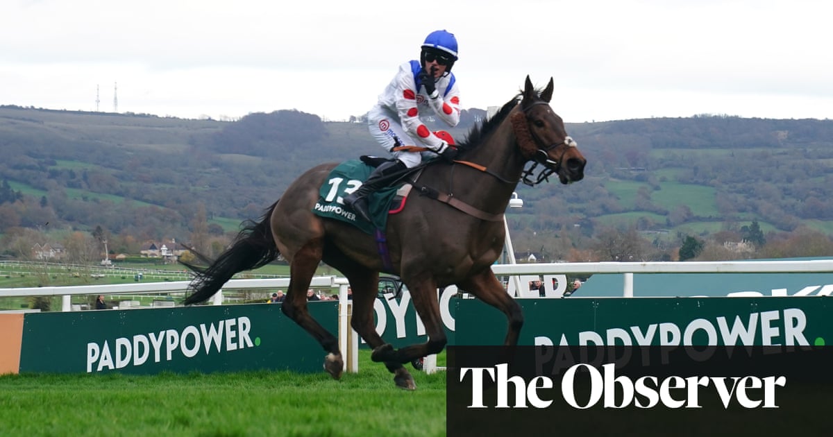 Sir Alex Ferguson's dream weekend goes on with another Cheltenham success