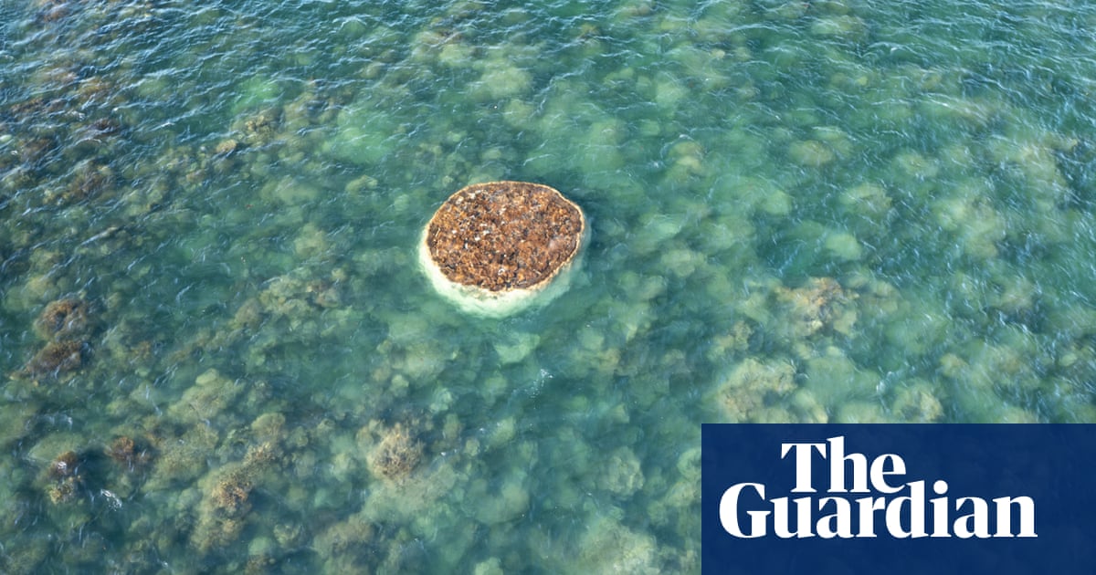 Death fears for ancient Western Australian coral formation