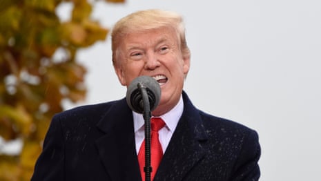 Donald Trump jokes about ‘getting drenched’ during Armistice speech – video