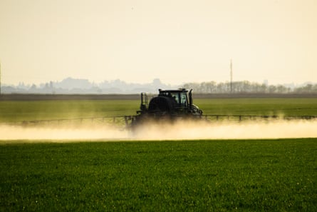 Tractor with the help of a sprayer sprays liquid fertilisers on young wheat in the field