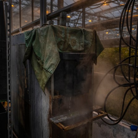 Large amounts of water are required for the heating of the greenhouses as well as for the watering of the flowers. Advanced systems imported from the Netherlands keep check on the temperature and the water levels inside the greenhouse.
