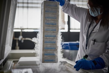 A lab technician at work in the LN2 (liquid nitrogen) room where all of the white blood cells taken from clinical trial samples are stored at -150C, for potential future testing.