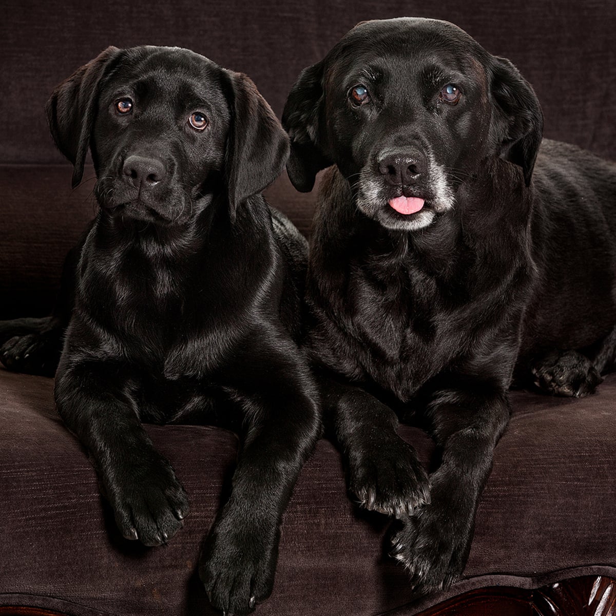 Is It Time To Worry About Human Cloning Again Life And Style