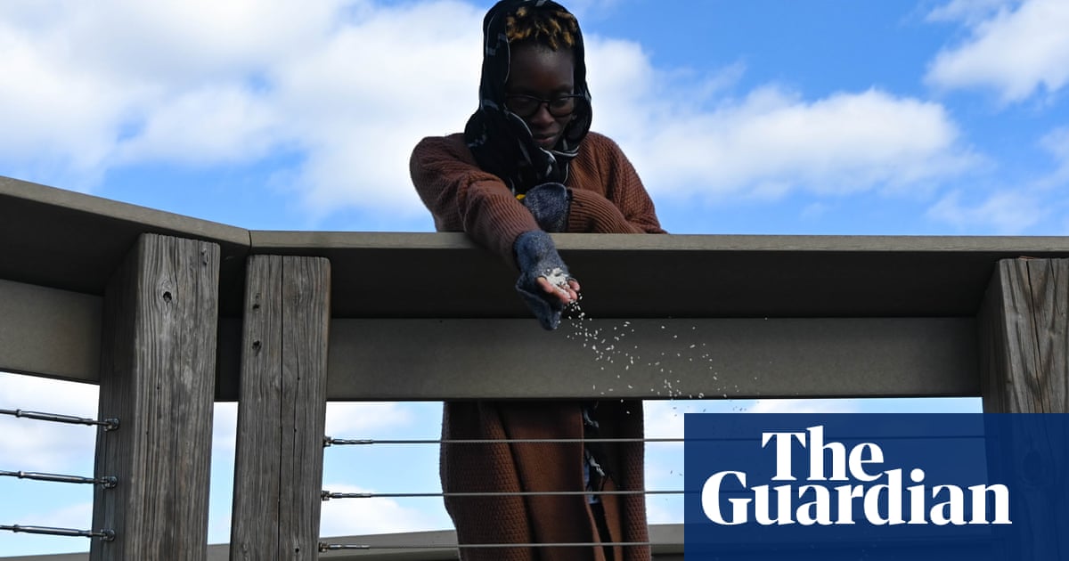 ‘We live in both worlds’: how teachers of Gullah Geechee herbal medicine are cultivating tradition | Gullah Geechee ‘We live in both worlds’: how teachers of Gullah Geechee herbal medicine are cultivating tradition | Gullah Geechee