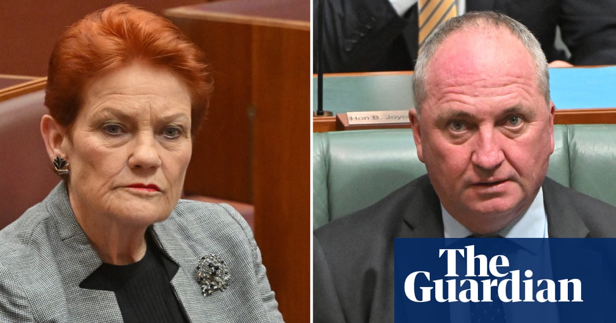 Pauline Hanson and Barnaby Joyce use Gina Rinehart’s private jet to visit flooded parts of Queensland