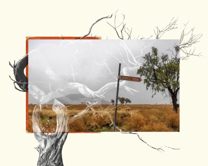 Guardian Australia wins Walkley award for Indigenous affairs for The Descendants series