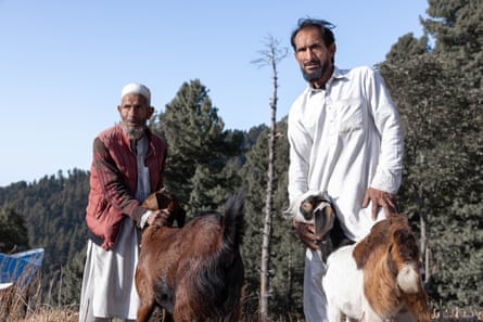 Two men stand with goats