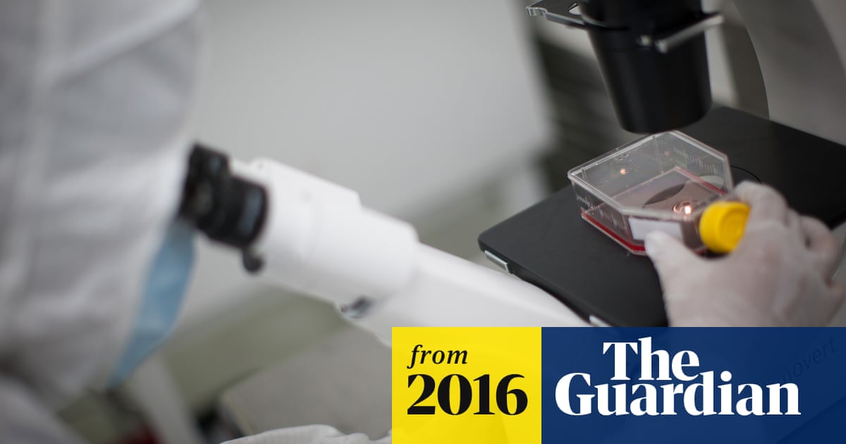 Scientists grow human stem cells with genes of only one 'parent'