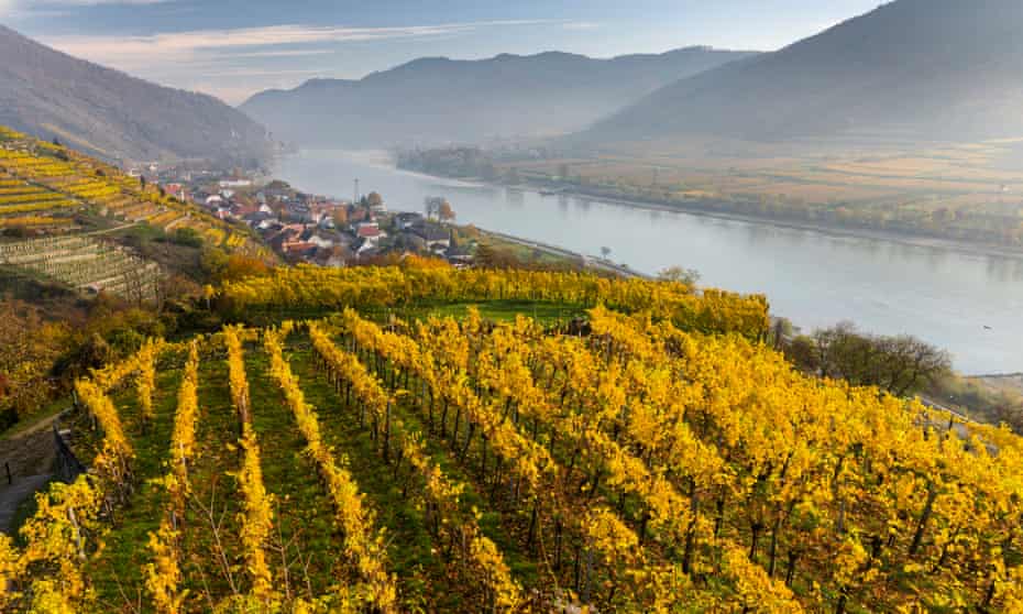 Village surrounded by vineyards in Spitz, Wachau, Austria